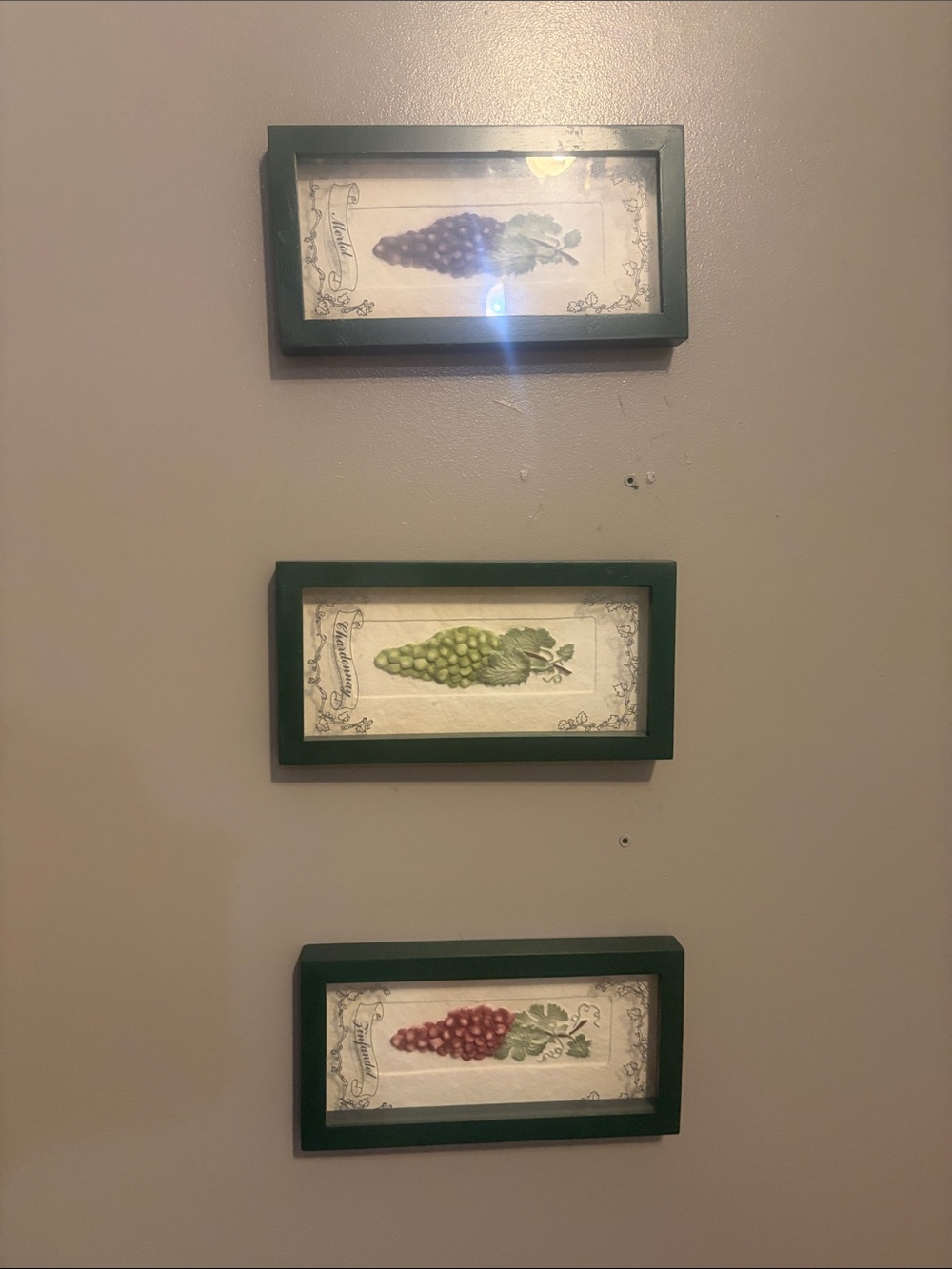 Set of 3 Framed Grape Prints in Dark Green Frames